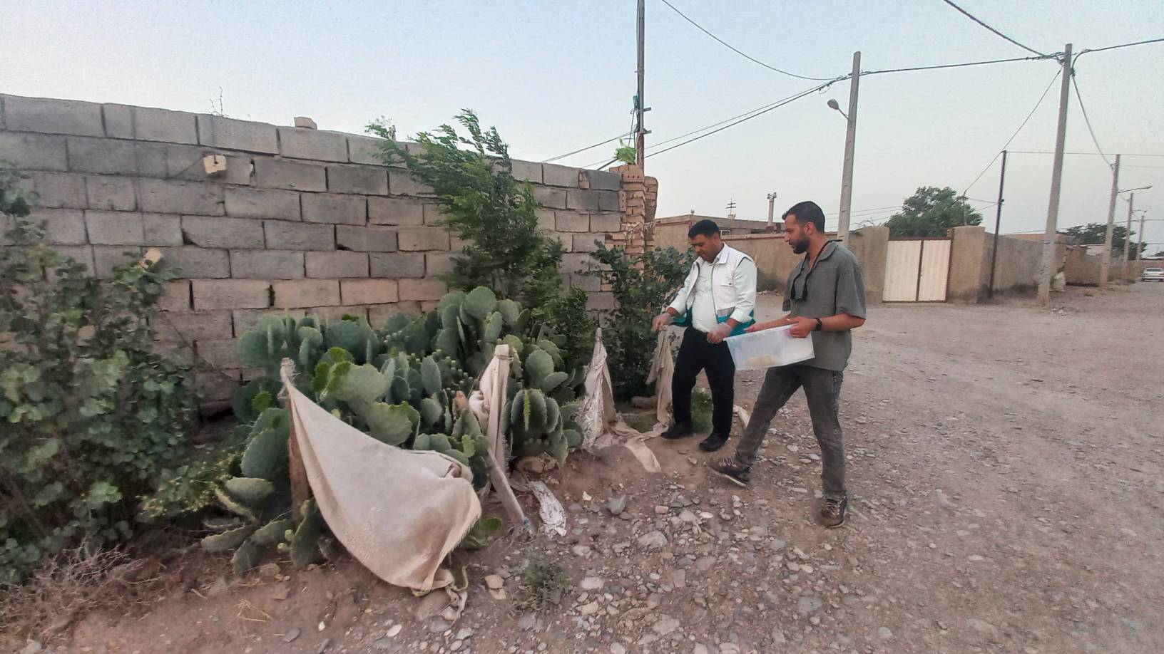  تله‌گذاری هدفمند شبکه بهداشت فیروزه برای کنترل بیماری سالک در روستای سرده